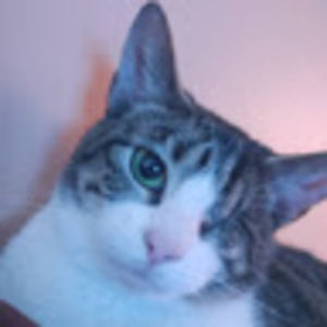 Meet your Posher, Wick